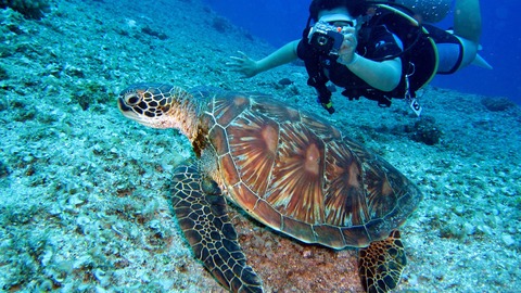 buceo en bali guía de los mejores buceos (2020)