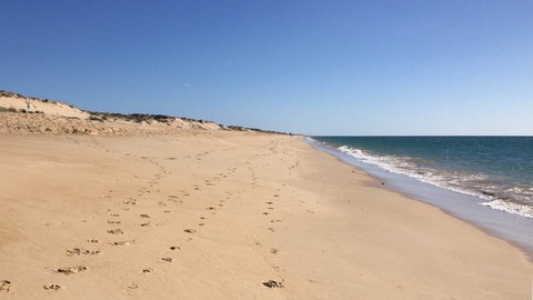 praia de faro