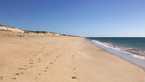 praia de faro