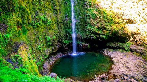 levada caldeirão verde una caminata por el exuberante corazón verde de madeira